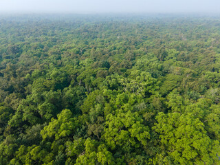 Aerial View of The Sundarbans Mangrove Forest in Khulna, Bangladesh