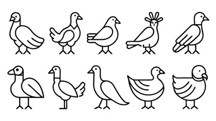 A Collection of set Diverse Bird Illustrations in a Simple Line Art Style vector EPS Format