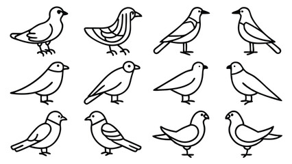 Obraz premium A Collection of set Diverse Bird Illustrations in a Simple Line Art Style vector EPS Format