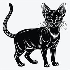 Obraz premium Abyssinian Silhouette White background illustration. Generative Ai