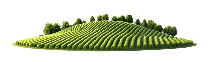 Fototapeta premium Greenhill with trees, white isolate background transparent background