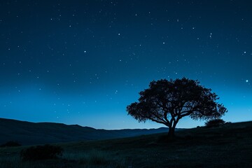 A serene night scene featuring a solitary tree silhouetted against a star-filled sky, capturing the beauty of nature and tranquility.