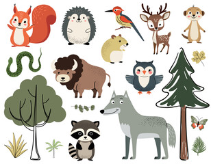 Obraz premium Woodland animals and trees. Cute forest animals. Squirrel, woodpecker, meerkat, snake, bison, owl, wolf, raccoon.
