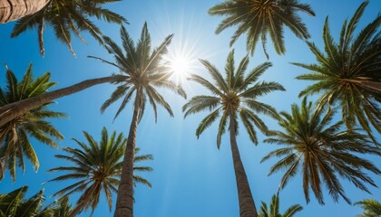 Obraz premium Sunlit Palm Trees Under Clear Blue Sky Generative AI