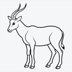 Obraz premium Addax line art White background illustration Generative Ai