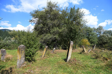 Old Jewish cemetery in the village of Iltsi, Verkhovyna District, Ukraine.