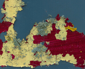 Paint and Lichens On Metal