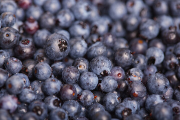 Fresh blueberries as a background texture close up