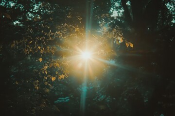 Sunlight filters through green leaves creating a serene atmosphere in a forest during golden hour