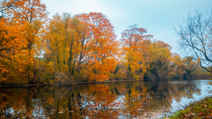 Naklejka premium Autumn Colors in Copenhagen’s Beautiful Urban Parks 