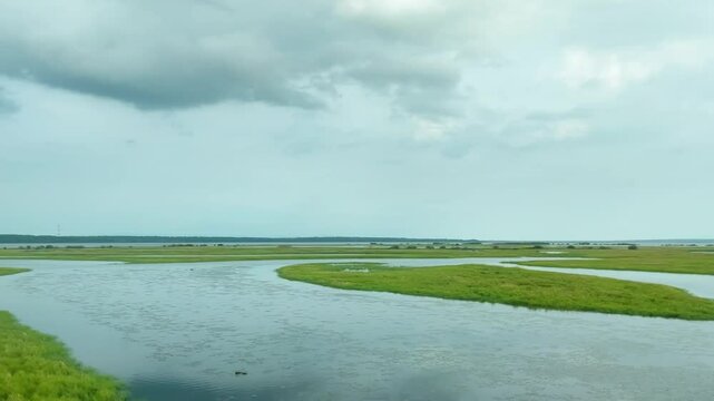 Moving along river bank with green grass ang gray cloudy sky in summer
