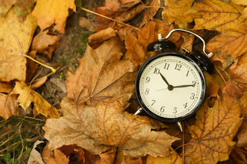 Autumn time. Alarm clock on fallen leaves, top view with space for text