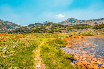 Mountain landscape in National Park Retezat, Romania. Hiking to Lacul Bucura througth Cabana...