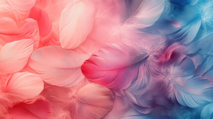 Abstract Colorful Swirls and Feathers