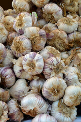 knoblauch