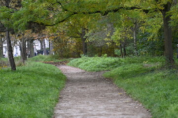 Chemin dans un parc en automne