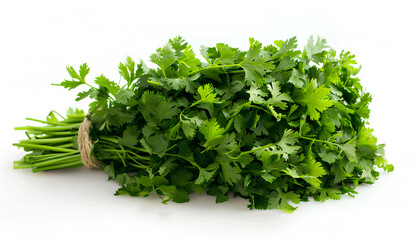 Fototapeta premium Bunch of fresh green parsley isolated on white