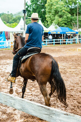 Horse in Motion During a Rural Event. Rider Riding on Muddy Ground. Action and rural context,...