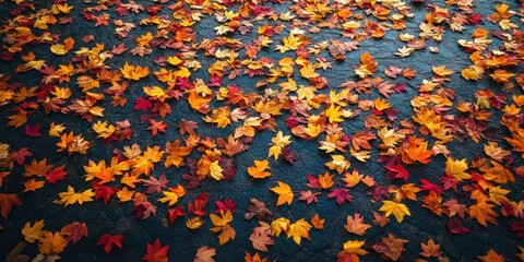 Colorful autumn leaves scattered on a dark surface, showcasing nature's beauty.