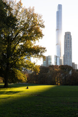 Central Park skyscraper sunlight and shadow