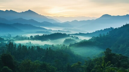 Obraz premium Lush green tropical rainforest landscape with misty mountains at dawn