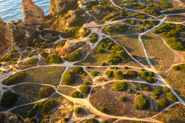 Aerial view of vegetation crossed by trails at coast of Algarve, Portugal