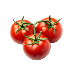 Fresh Red Tomatoes on the Vine  Juicy  Ripe  Healthy  Organic Produce