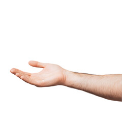Open Hand  Male Hand  Receiving  Giving  Help  Support  Gesture  Palm  Forearm  Human Hand