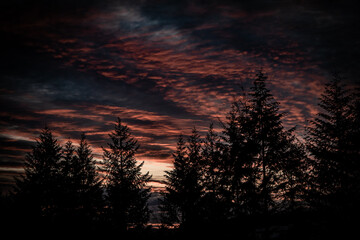Sonnenuntergang im Wald