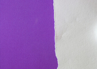 pieces of torn paper texture background, copy space for your text.