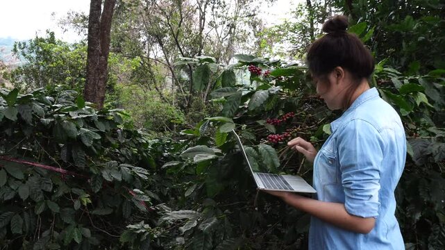 Female farmers research, analyze and find ways to improve productivity. Find a way to prevent damage. Data collection, research