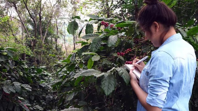 Female farmers research, analyze and find ways to improve productivity. Find a way to prevent damage. Data collection, research