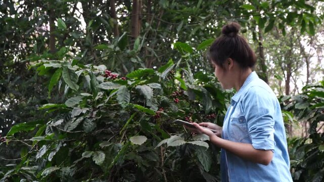 Female farmers research, analyze and find ways to improve productivity. Find a way to prevent damage. Data collection, research