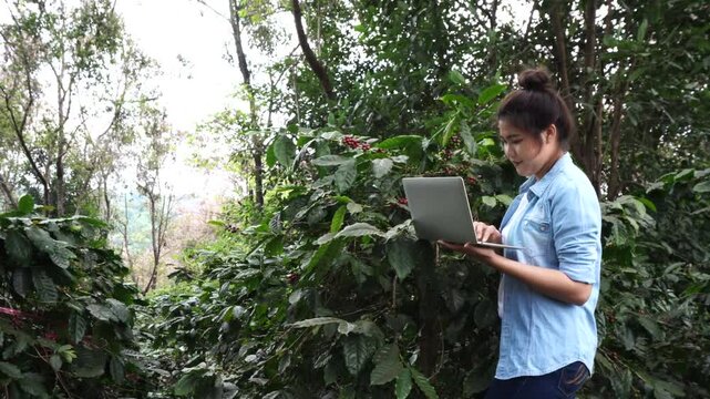 Female farmers research, analyze and find ways to improve productivity. Find a way to prevent damage. Data collection, research
