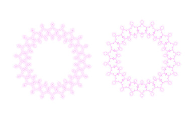 レースっぽい花のフレーム、背景、アクセント。