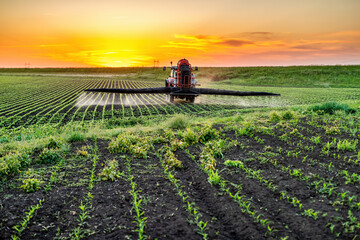 Tractor spraying soybean field at sunset agricultural innovation