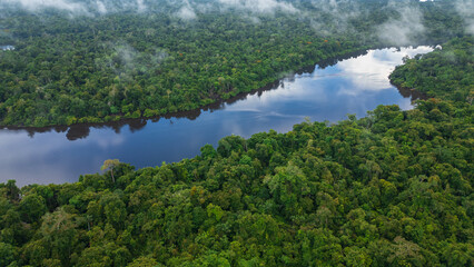 BLACK WATER RIVER IN THE PERUVIAN AMAZON, THE NANAY RIVER IS A LARGE IGAPO SURROUNDED BY LARGE...