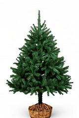 Serenity in Nature: Stunning Scenic Views