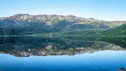 Serenity in Nature: Stunning Scenic Views