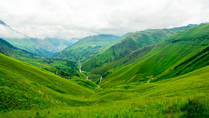 Serenity in Nature: Stunning Scenic Views
