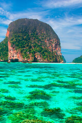 Serenity in Nature: Stunning Scenic Views