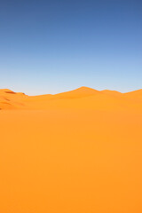 Serenity in Nature: Stunning Scenic Views