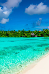 Serenity in Nature: Stunning Scenic Views