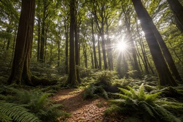 Fototapeta premium The trees stretch high into the sky, their thick trunks and branches creating a sense of grandeur. The air is fresh and crisp, and the peaceful atmosphere is undisturbed, with only the occasional rust