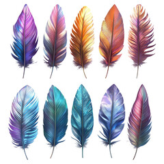Colorful Feathers Isolated on Transparent Background