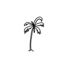 palm tree