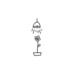 flower with a lamp
