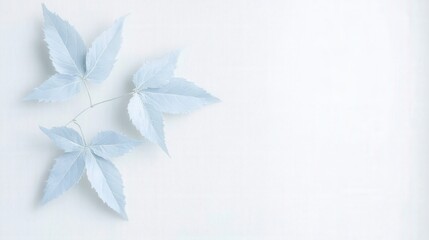 Obraz premium Minimalist blue leaves on light background showcasing natural elegance and simplicity