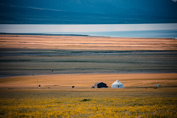 Summer pastures in Yili, northern Xinjiang © zheng