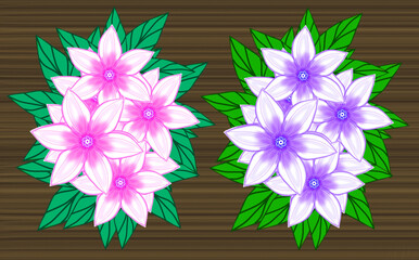 flowers on a white background